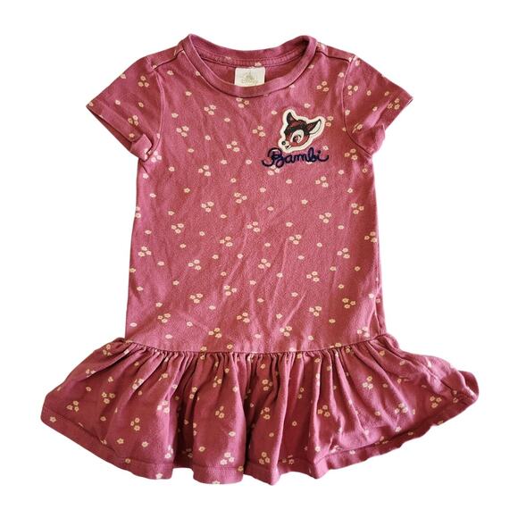 Disney Store Bambi 2T Rose Pink DRESS Embroidered Berries - Picture 1 of 6